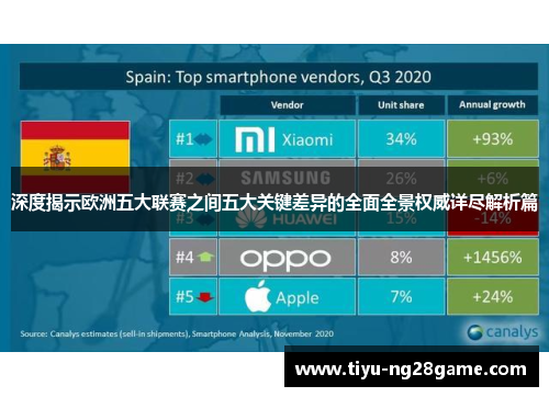 深度揭示欧洲五大联赛之间五大关键差异的全面全景权威详尽解析篇