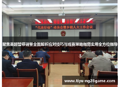 聚焦英超暂停背景全面解析应对技巧与观赛策略指南实用全方位指导